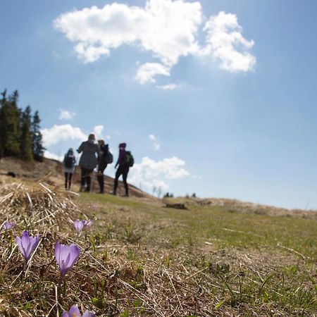 Lake Peak Apartments, Ribnisko Pohorje Ribnica na Pohorju Екстер'єр фото