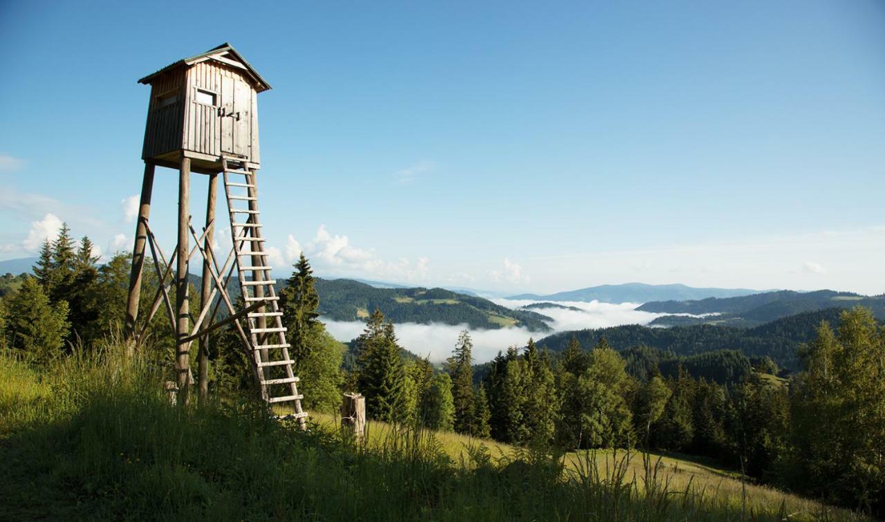 Lake Peak Apartments, Ribnisko Pohorje Ribnica na Pohorju Екстер'єр фото