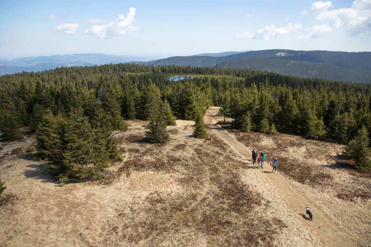 Lake Peak Apartments, Ribnisko Pohorje Ribnica na Pohorju Екстер'єр фото