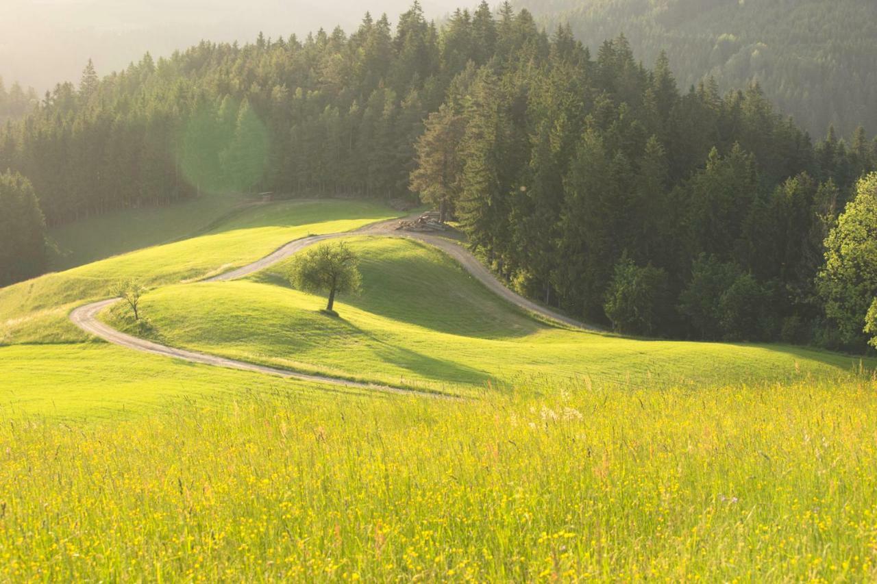Lake Peak Apartments, Ribnisko Pohorje Ribnica na Pohorju Екстер'єр фото